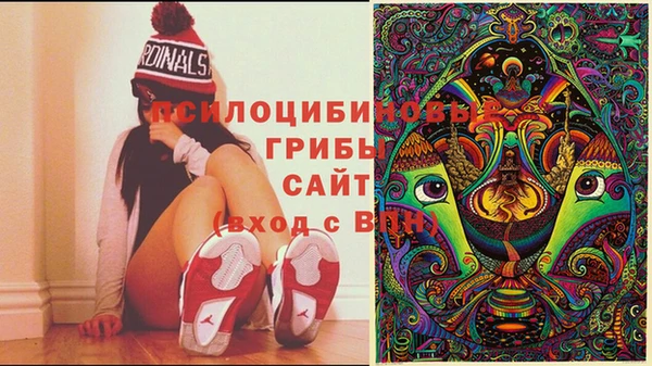 а пвп мука Абаза