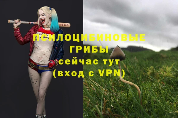 ECSTASY Абинск