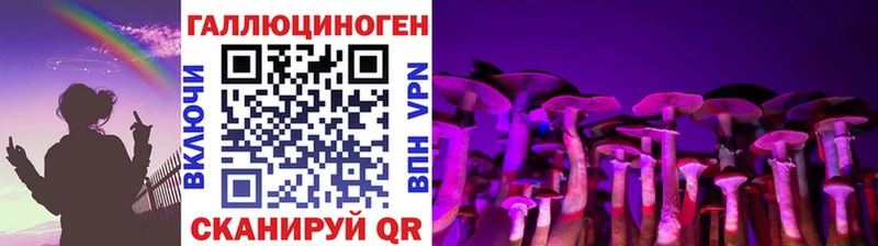 Галлюциногенные грибы мицелий  Новотитаровская 